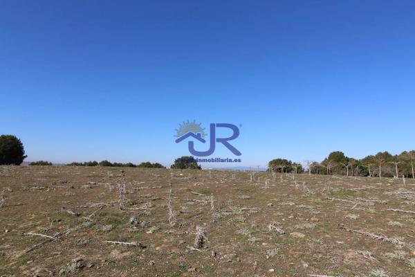 Terreno en Altos de Jarama