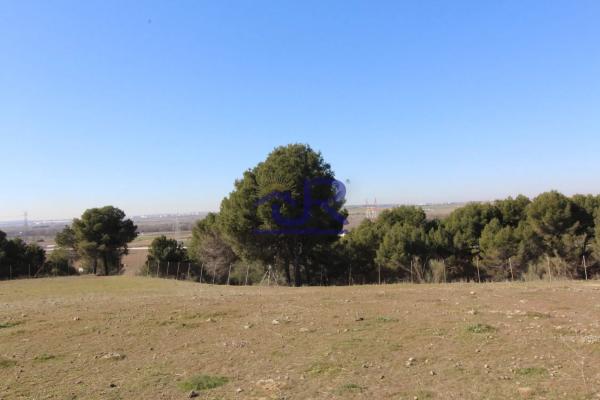 Terreno en Altos de Jarama