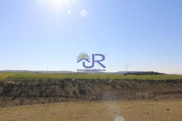 Terreno en Altos de Jarama