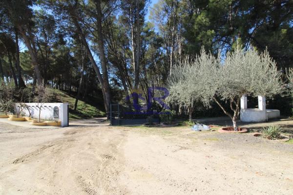 Terreno en Altos de Jarama
