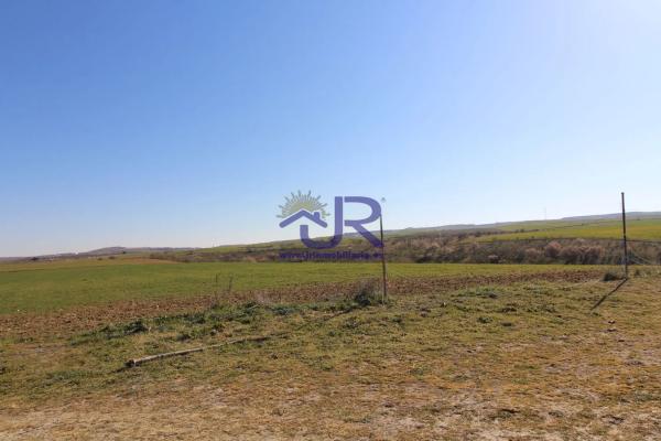 Terreno en Altos de Jarama