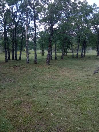 Terreno en calle del Rebollar, 5