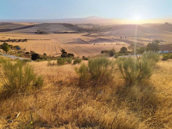 Terreno en Urbanizacion el Frontal, 45