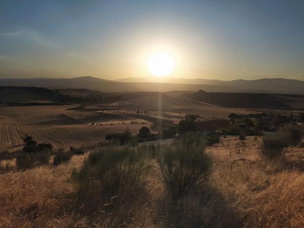 Terreno en Urbanizacion el Frontal, 45