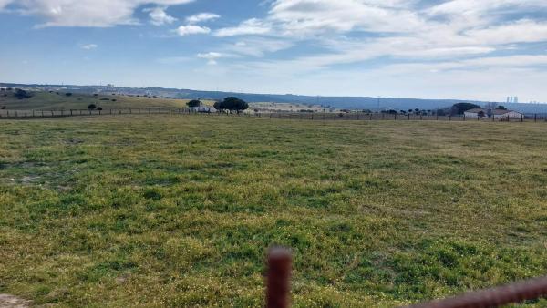 Terreno en descubridores, 1