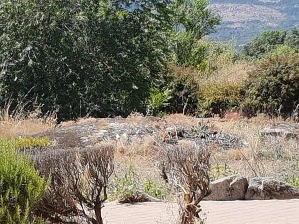 Terreno en avenida de Madrid, 27