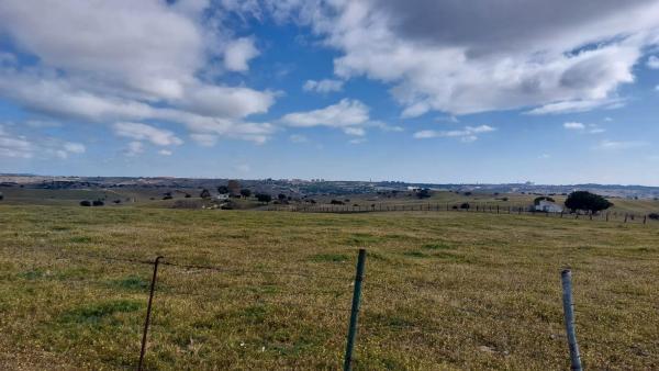 Terreno en descubridores, 1