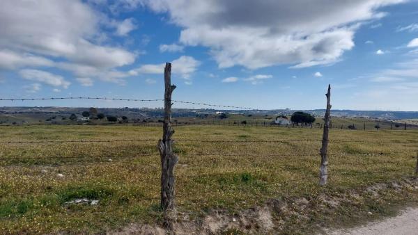 Terreno en descubridores, 1