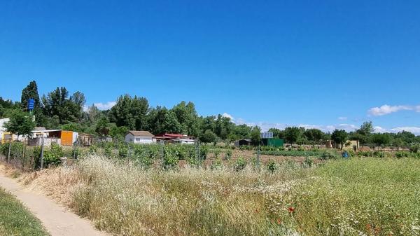 Terreno en camino de las Pozas, 3