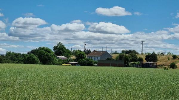 Terreno en camino de las Pozas, 3