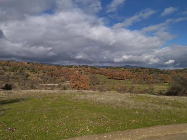 Terreno en carretera de Colmenar Viejo s/n