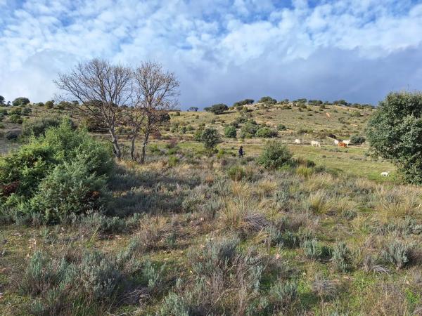 Terreno en carretera de la Estación, km 2