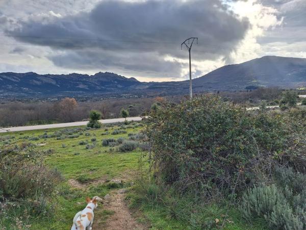 Terreno en carretera de la Estación, km 2