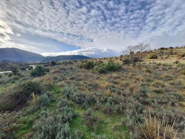 Terreno en carretera de la Estación, km 2