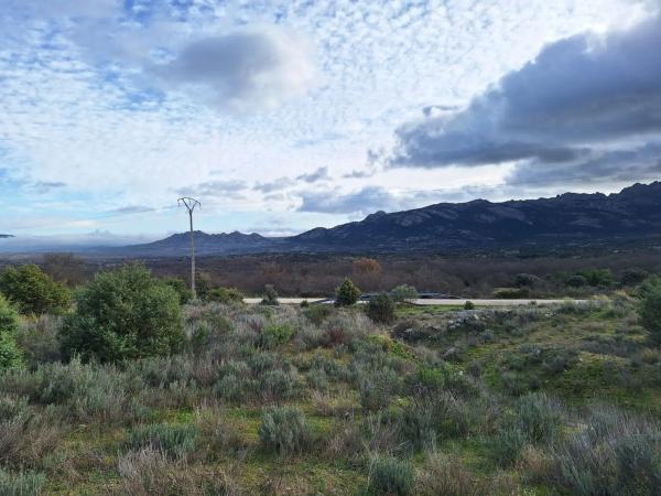 Terreno en carretera de la Estación, km 2