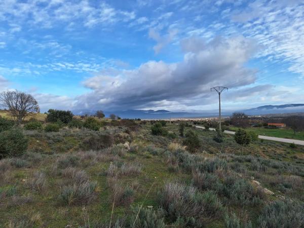 Terreno en carretera de la Estación, km 2
