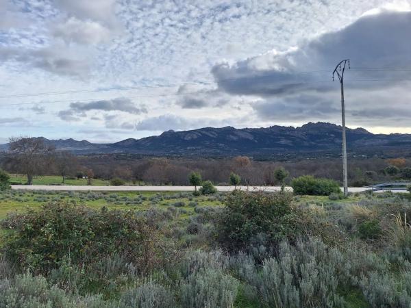 Terreno en carretera de la Estación, km 2