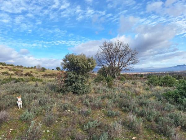 Terreno en carretera de la Estación, km 2