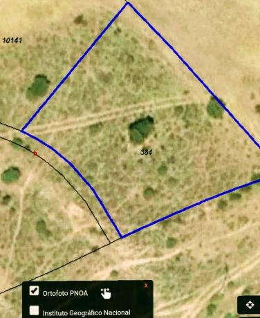 Terreno en carretera de la Estación, km 2