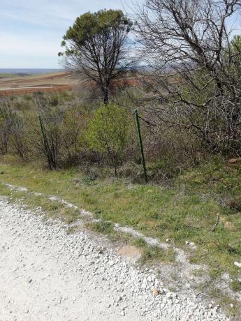 Terreno en Urbanizacion el Frontal, 76