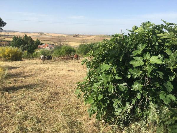 Terreno en Urbanizacion el Frontal, 76