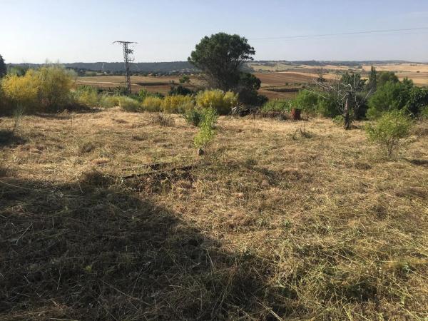 Terreno en Urbanizacion el Frontal, 76