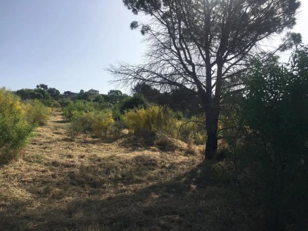 Terreno en Urbanizacion el Frontal, 76