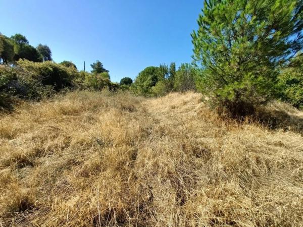 Terreno en calle Madrid