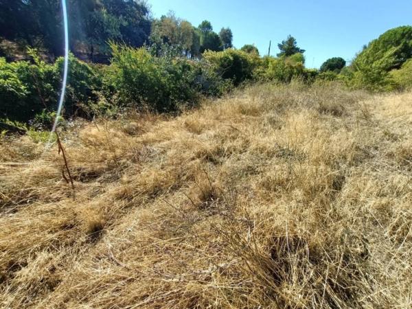 Terreno en calle Madrid