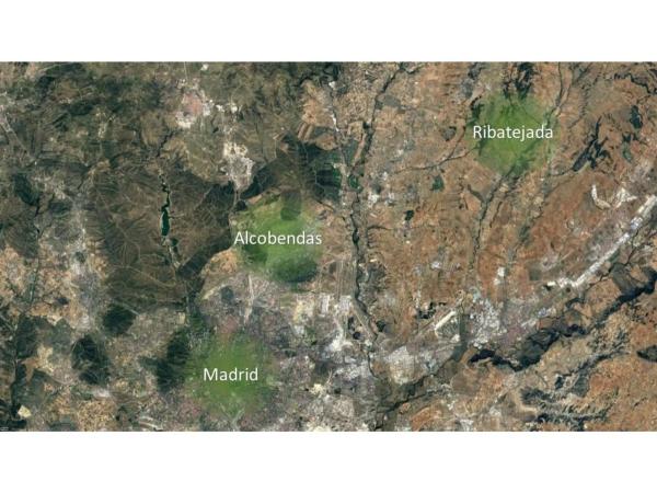 Terreno en calle Madrid