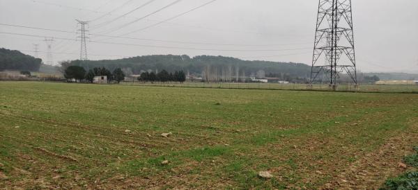 Terreno en M-111, km 1