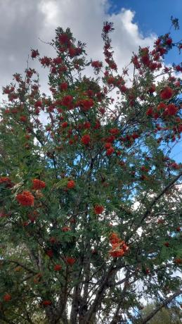 Terreno en calle Puerto, km 3