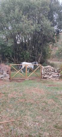 Terreno en calle Puerto, km 3