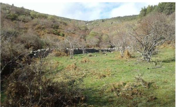 Terreno en calle Puerto, km 3