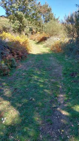 Terreno en calle Puerto, km 3