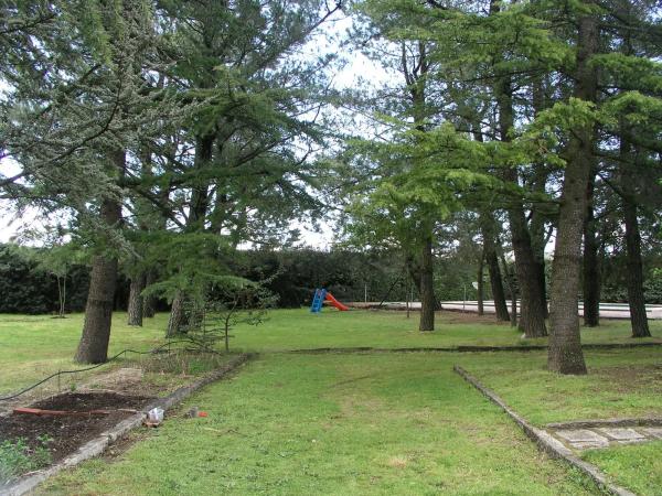Terreno en camino de la Cabrera, 3