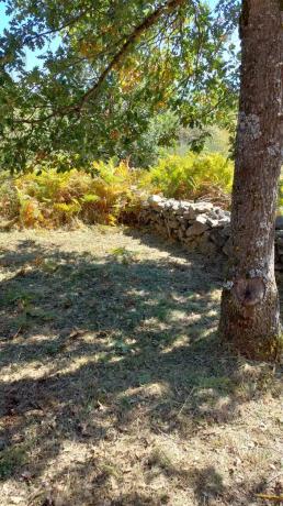 Terreno en calle Puerto, km 3