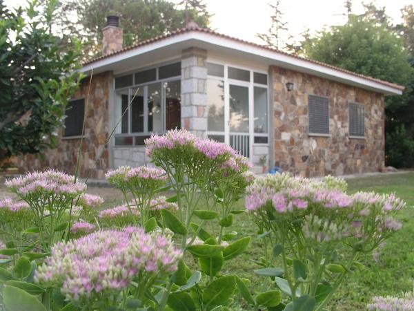 Terreno en camino de la Cabrera, 3