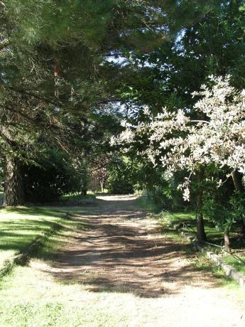 Terreno en camino de la Cabrera, 3
