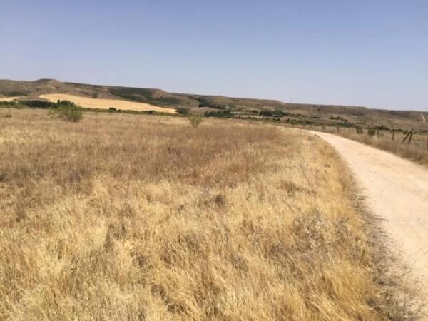 Terreno en calle de la Alondra
