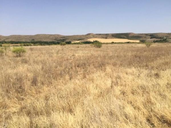 Terreno en calle de la Alondra