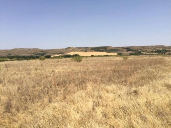 Terreno en calle de la Alondra