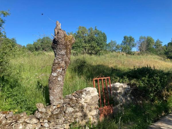 Terreno en calle Cantueso, 25