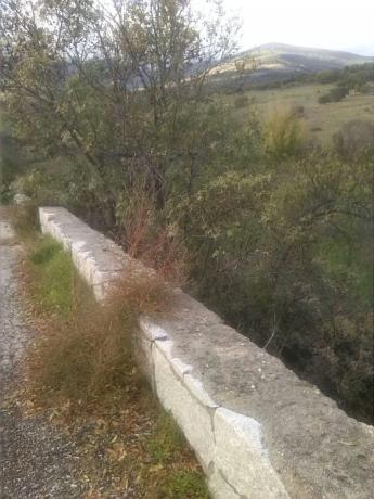 Terreno en calle Cantueso, 25