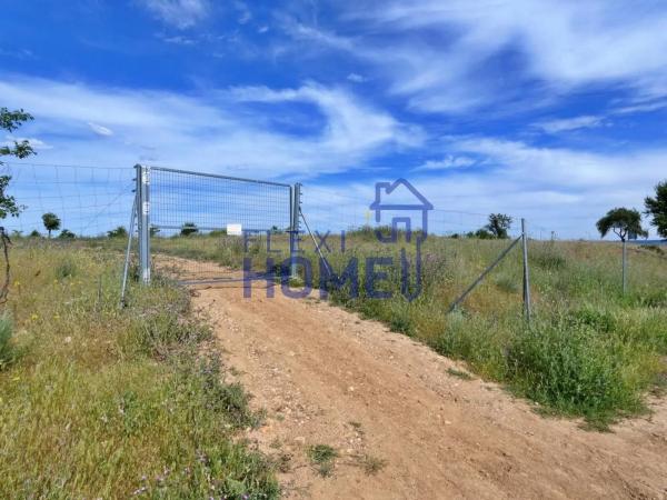 Terreno en carretera de Daganzo