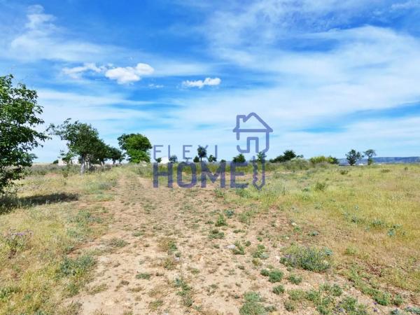 Terreno en carretera de Daganzo