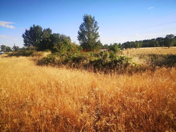Terreno en vereda Santa Catalina, 75