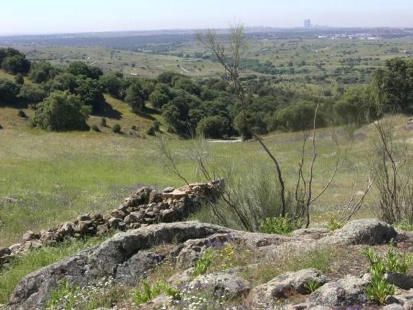 Terreno en Las Vegas - El Pozanco - Adelfillas