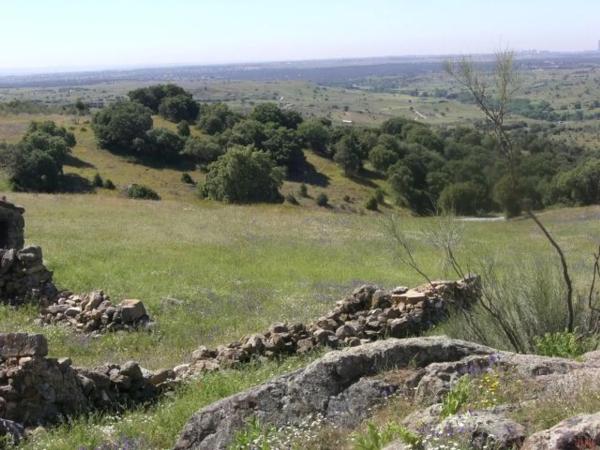 Terreno en Las Vegas - El Pozanco - Adelfillas