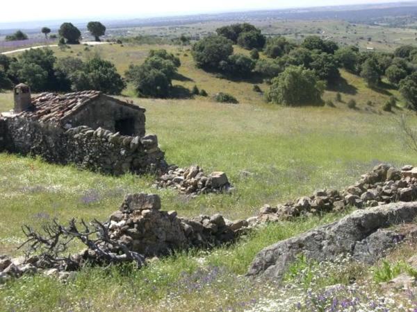 Terreno en Las Vegas - El Pozanco - Adelfillas